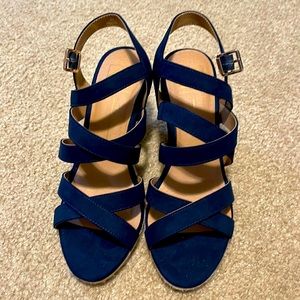Dolce Vita Navy Blue Wedges